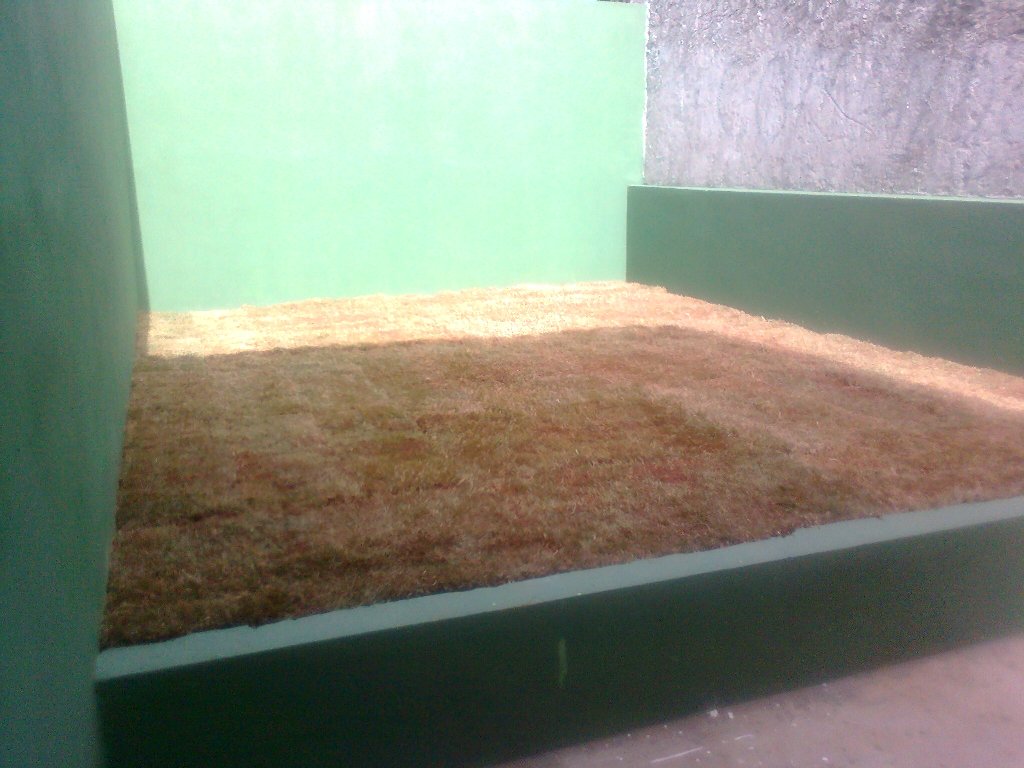 SERRA NEGRA (165).jpg